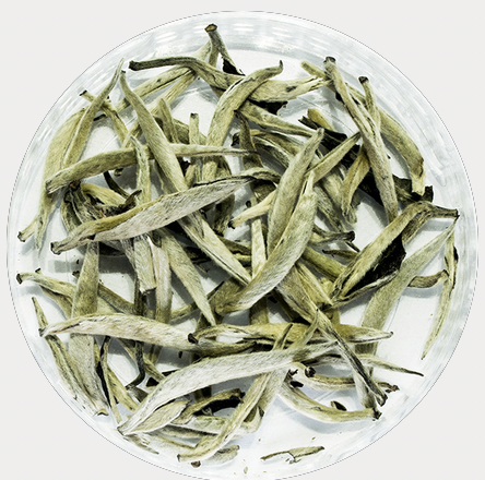 Té Blanco Aguja Plateada (Silver Needle)